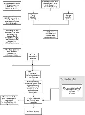 Prognostic Immune-Related Genes of Patients With Ewing’s Sarcoma